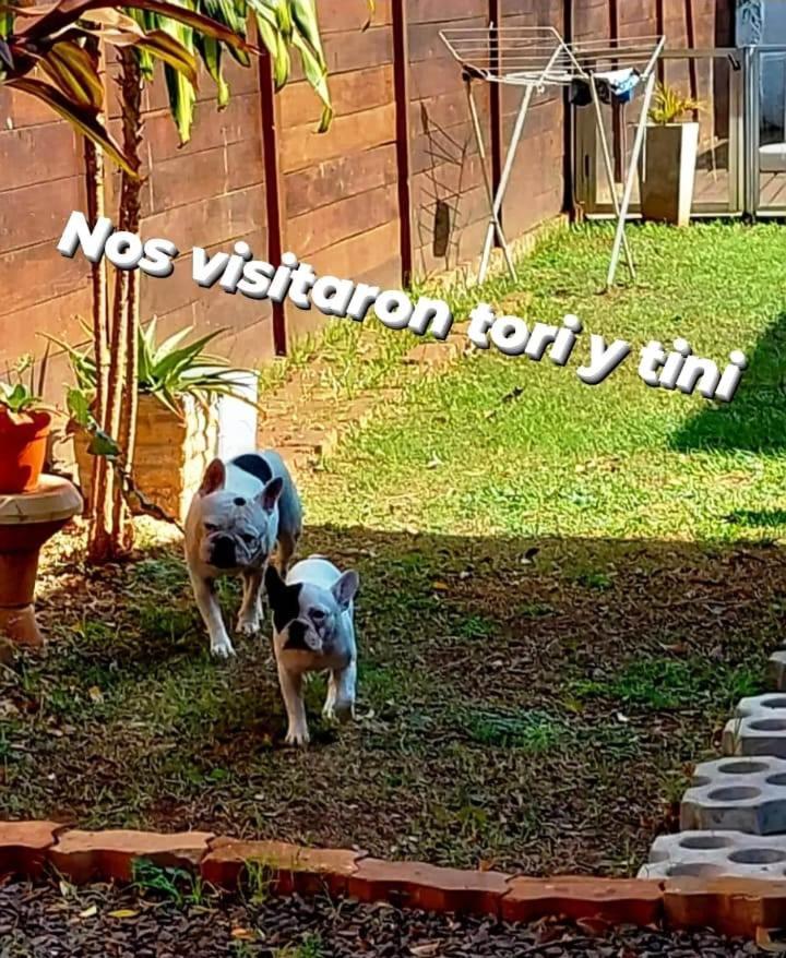 Cabana Hospedaje Y Alojamiento "Jano" -Alquiler Temporario- Daire Posadas Dış mekan fotoğraf